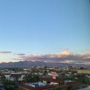 Meet your Posher, Annie